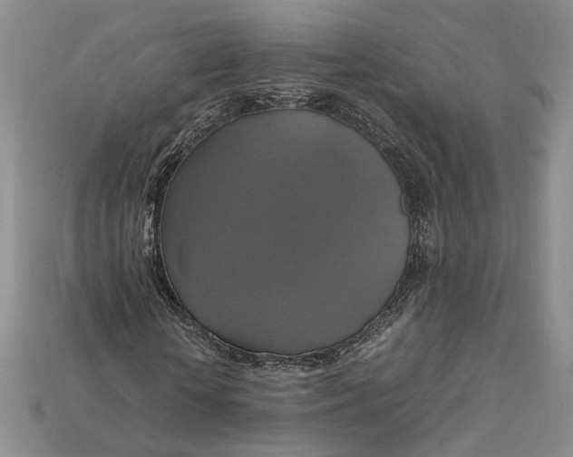 X0000115180818200911121759