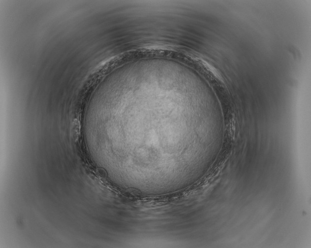 X0000115180821200911121759