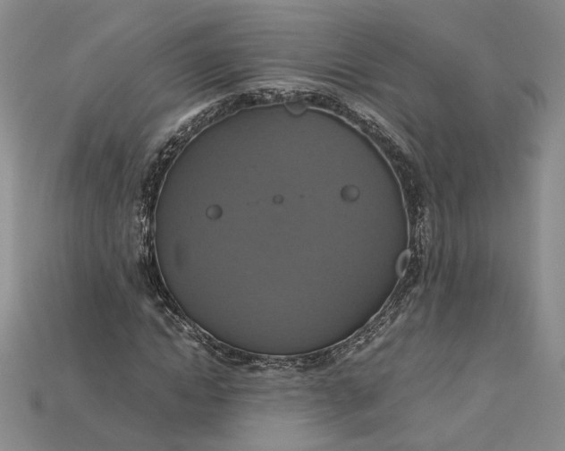 X0000115180822200911121759