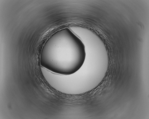 X0000115180824200911121759