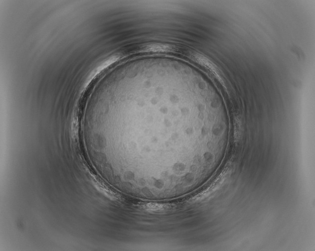 X0000115180827200911121759