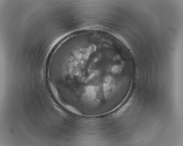X0000115180830200911121759
