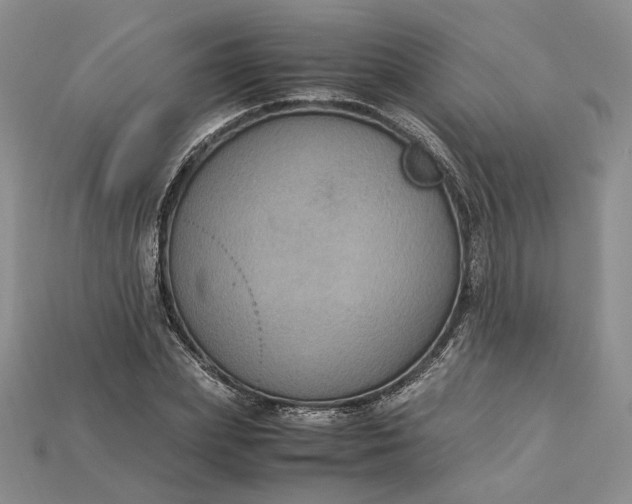 X0000115180831200911121759