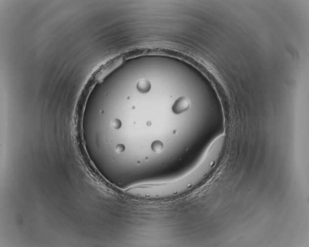 X0000115180832200911121759