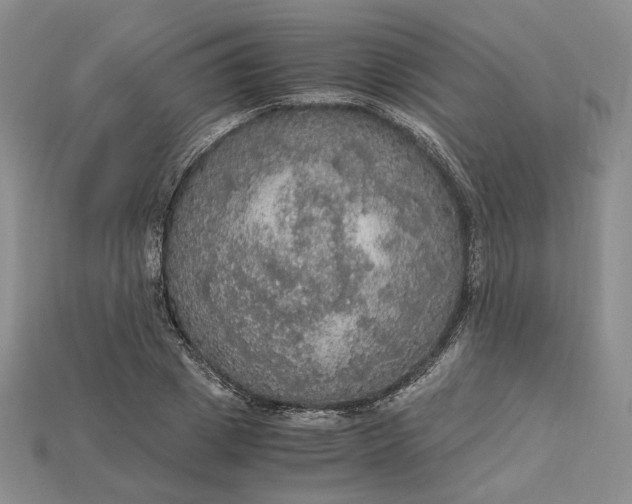 X0000115180833200911121759
