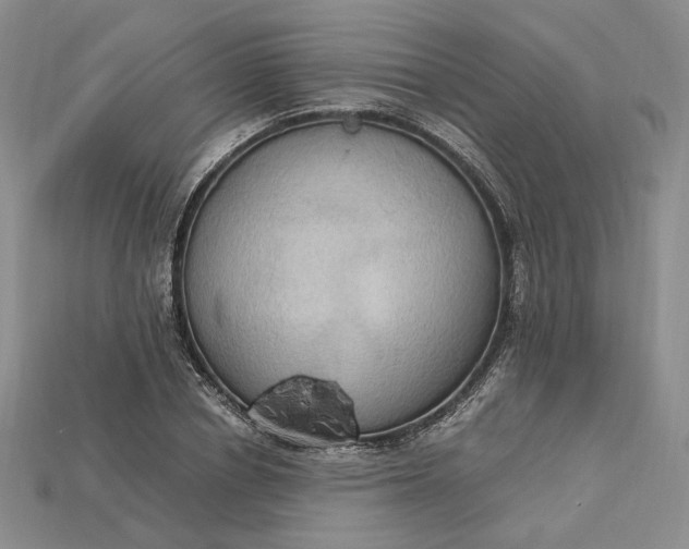 X0000115180834200911121759