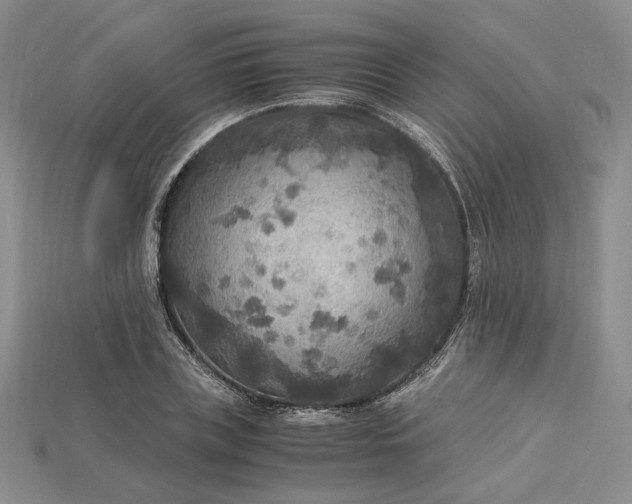 X0000115180835200911121759