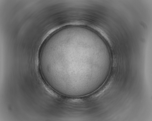 X0000115180837200911121759