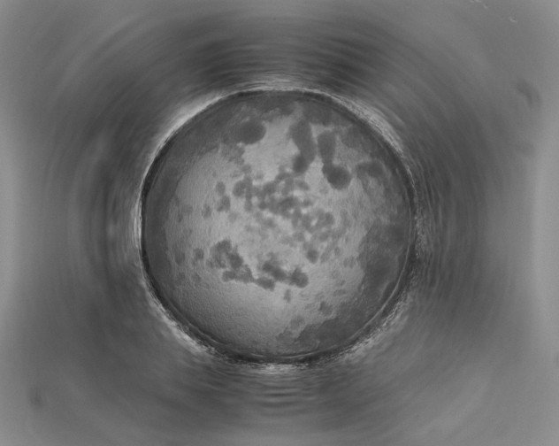 X0000115180839200911121759