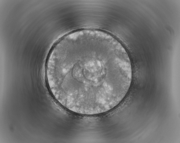 X0000115180840200911121759