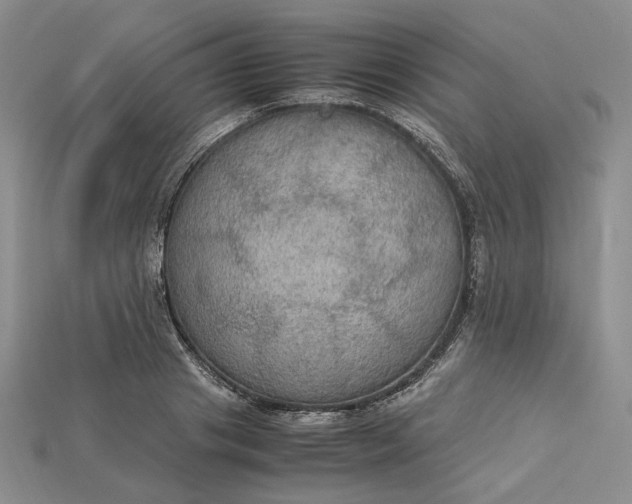 X0000115180841200911121759
