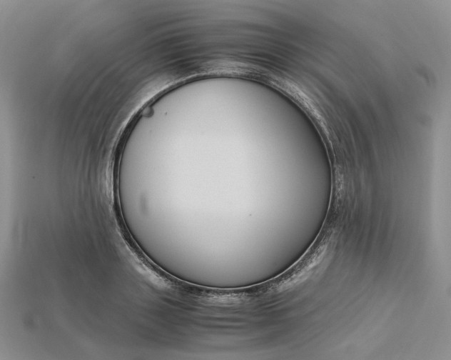 X0000115180843200911121759