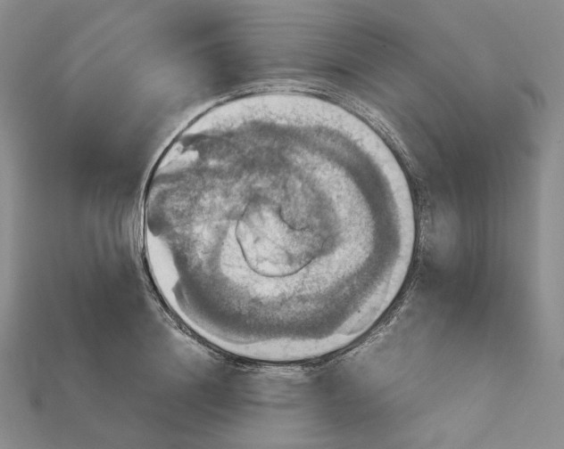 X0000115180844200911121759