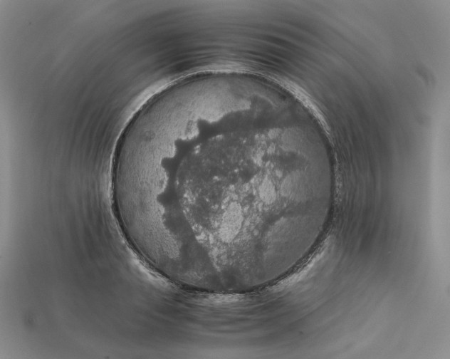 X0000115180845200911121759