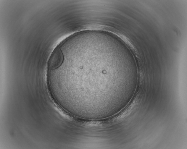 X0000115180846200911121759