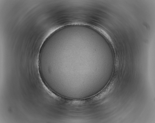 X0000115180847200911121759
