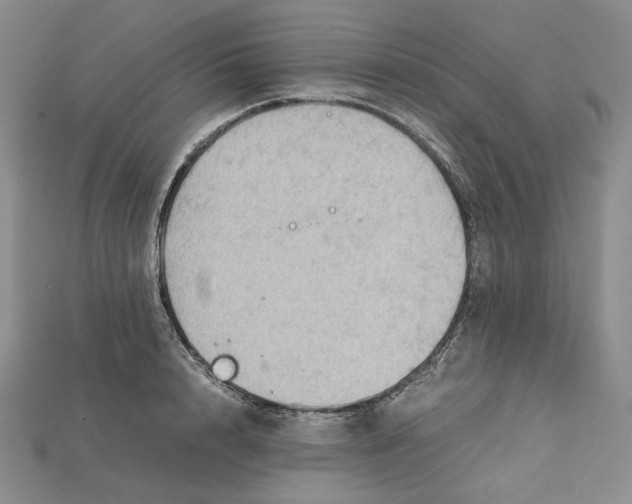 X0000115180848200911121759