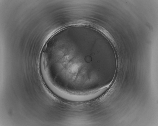 X0000115180850200911121759