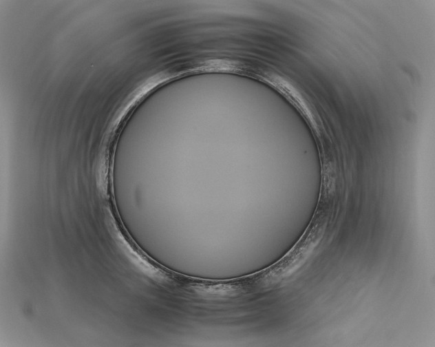 X0000115180851200911121759