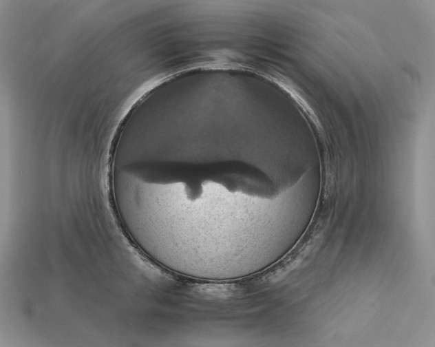 X0000115180853200911121759