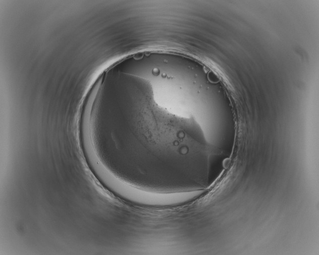 X0000115180854200911121759