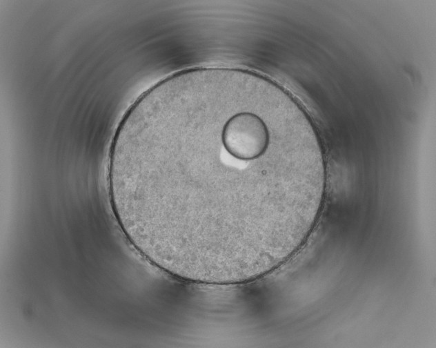 X0000115180856200911121759
