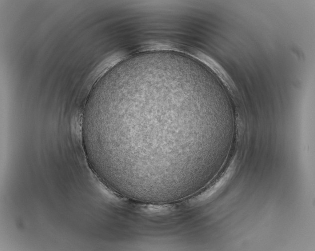 X0000115180857200911121759