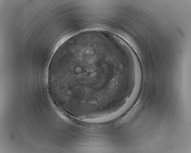 X0000115180858200911121759