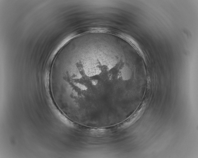 X0000115180859200911121759
