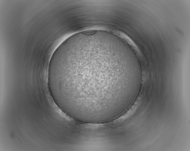 X0000115180860200911121759