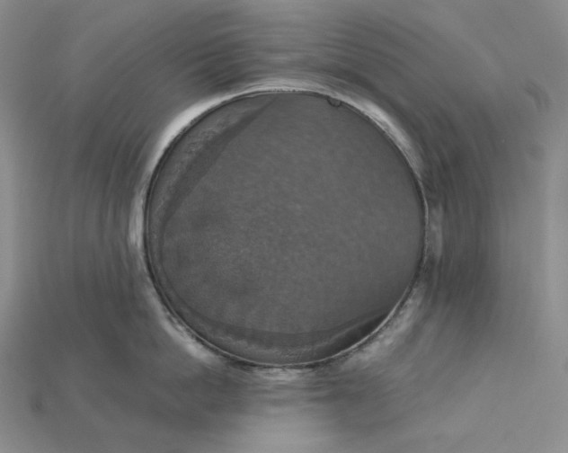 X0000115180862200911121759