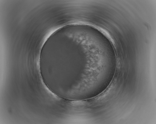 X0000115180863200911121759