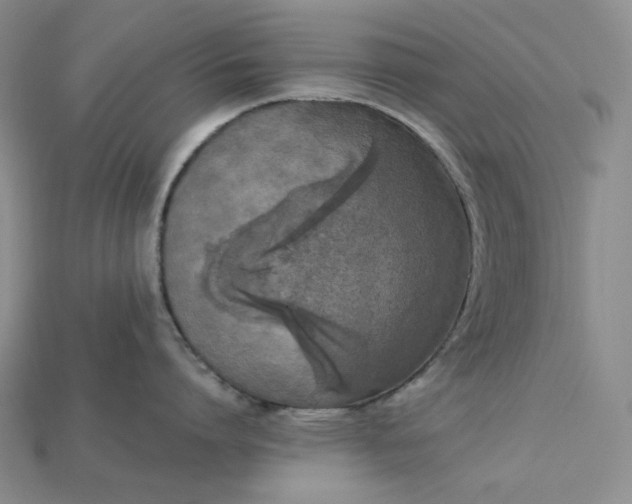 X0000115180864200911121759