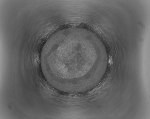 X0000115180867200911121758