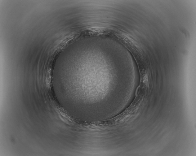 X0000115180868200911121758