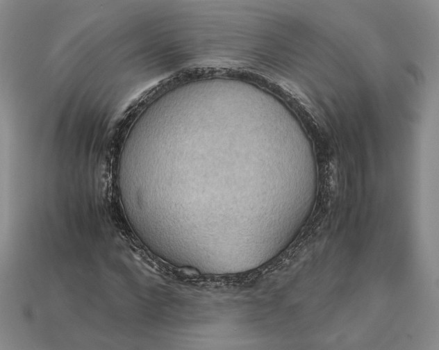 X0000115180872200911121758