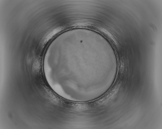 X0000115180874200911121758