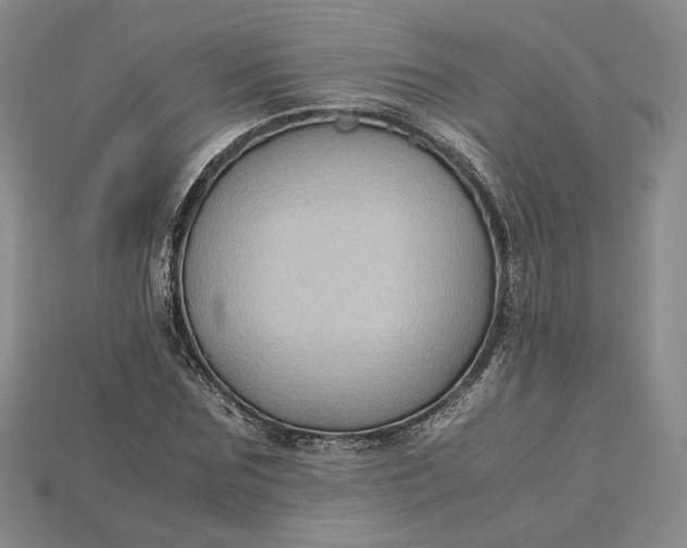 X0000115180875200911121758