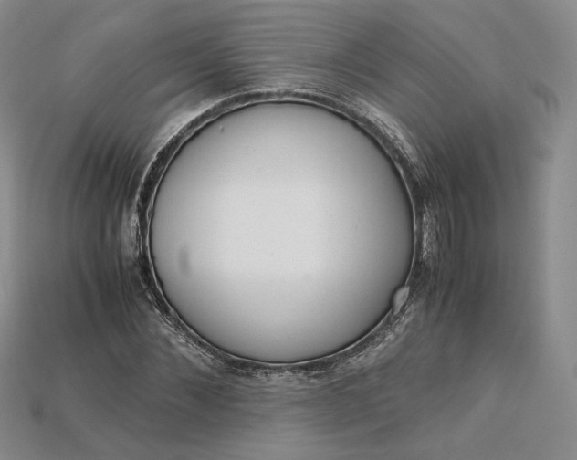 X0000115180876200911121758