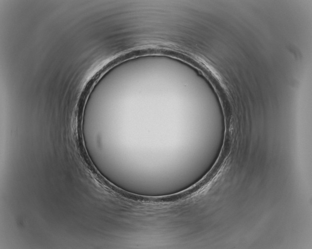 X0000115180877200911121758