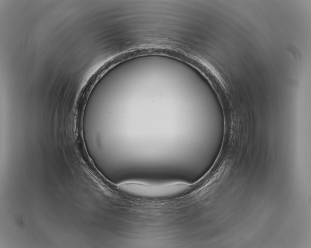 X0000115180878200911121758