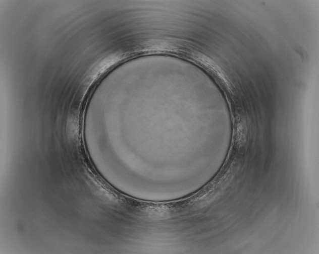 X0000115180882200911121758