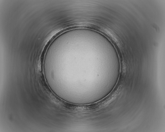 X0000115180883200911121758