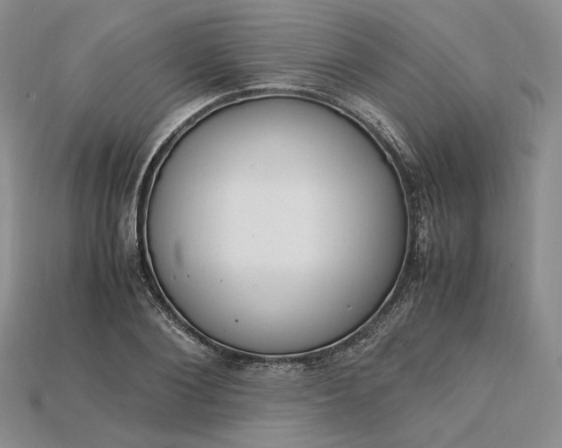 X0000115180884200911121758