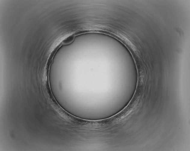 X0000115180885200911121758