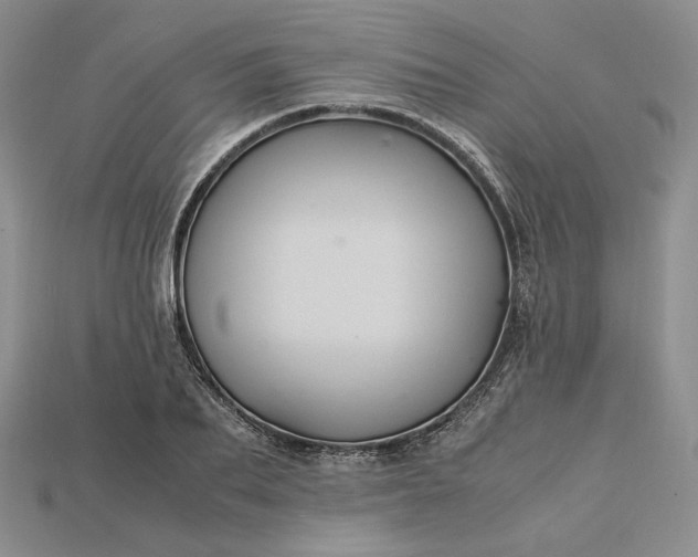 X0000115180887200911121758