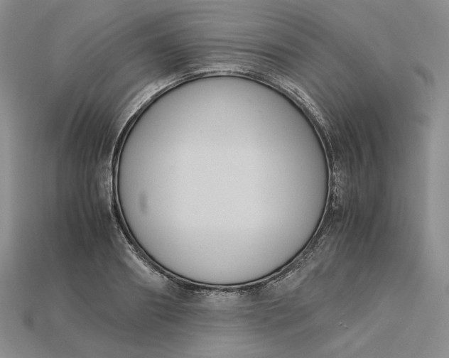 X0000115180890200911121758