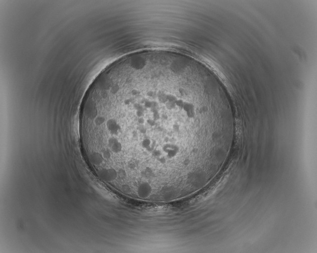 X0000115180891200911121758