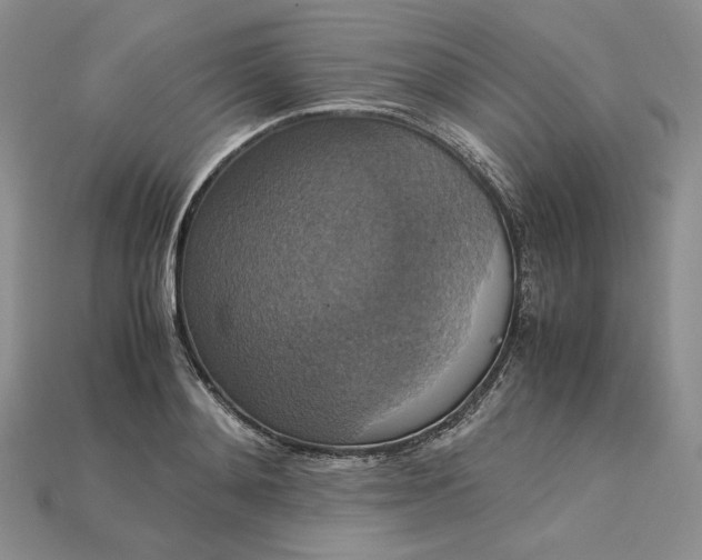 X0000115180892200911121758
