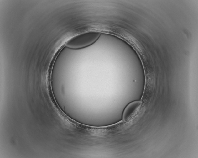 X0000115180893200911121758